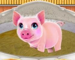 play Piggy Life Mud Spa And Resort