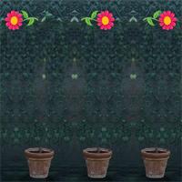 8Bgames Indoor Garden Escape