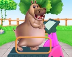play Fat To Fit Hippo