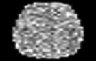 play Trivial Egg Maze