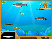 play The Trial Of Fish
