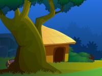 play Village House Diamond Escape