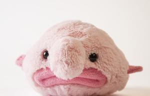 play Blobfish