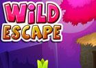 play Wild Escape