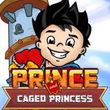 play Prince And Caged Princess