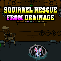 play Squirrel Rescue From Drainage