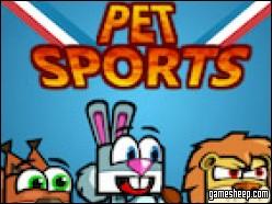 Pet Sports Game Online Free