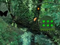 play Big Forest Land Escape