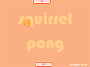 play Squirrel Pong