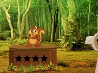 play Squirrel Forest Escape