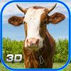 3D Games Bull Racing Arena