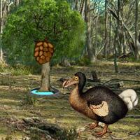 Dodo Bird Evolution