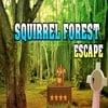 Avmgames – Squirrel Forest Escape