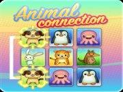 play Animal Connection