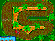 play Hawaii Race