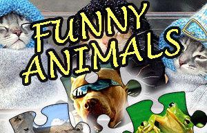 play Jigsaw Puzzle: Funny Animals