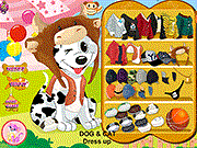 play Dog And Cat Dressup