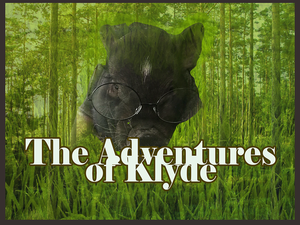 play The Adventures Of Klyde