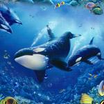 play Under-Fish-Hidden-Alphabets