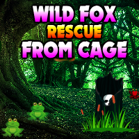 play Wild Fox Rescue From Cage