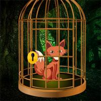 play Wild Fox Rescue From Cage