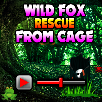 Wild Fox Rescue From Cage Walkthrough