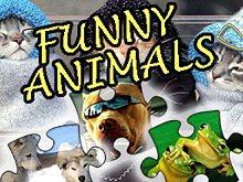 Jigsaw Puzzle Funny Animals