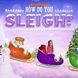 How Do You Sleigh?