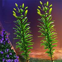 G4K-Three-Puzzle-Plants-Escape-