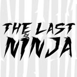 play The Last Ninja