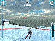 play Alpine Ski Master