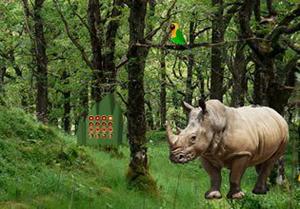 play Escape From Rhino Forest