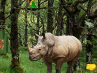 play Escape From Rhino Forest