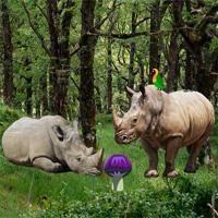 play Wowescape-Escape-From-Rhino-Forest