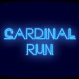 play Cardinal Run