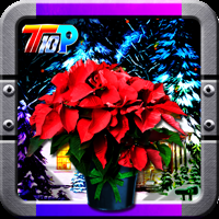 play Find The New Year Poinsettia