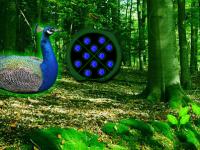 play Peafowl Forest Escape