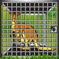 play Green Woods Kangaroo Rescue