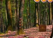 play Unlock The Lion