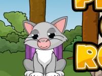 play Pretty Cat Rescue