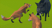 3D Fox Simulator