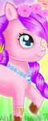 play My Adorable Pony Care
