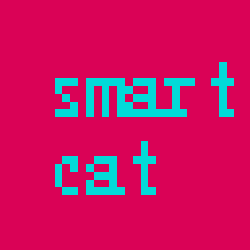 play The Smartest Cat In The World