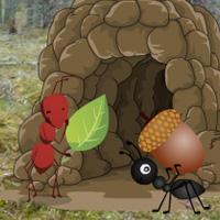 play Ant Hill Forest Escape