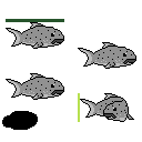 play Fishing Game Proof Of Concept