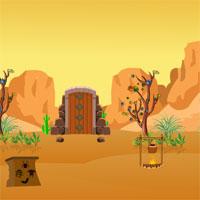 play Escape From Desert House