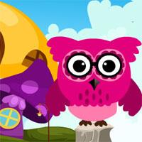 Pink Owl Rescue 3