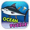 Ocean Animal Puzzle Flash Card