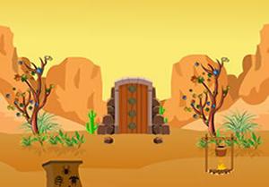 play Escape From Desert House