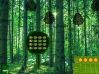 play Green Pulp Forest Escape
